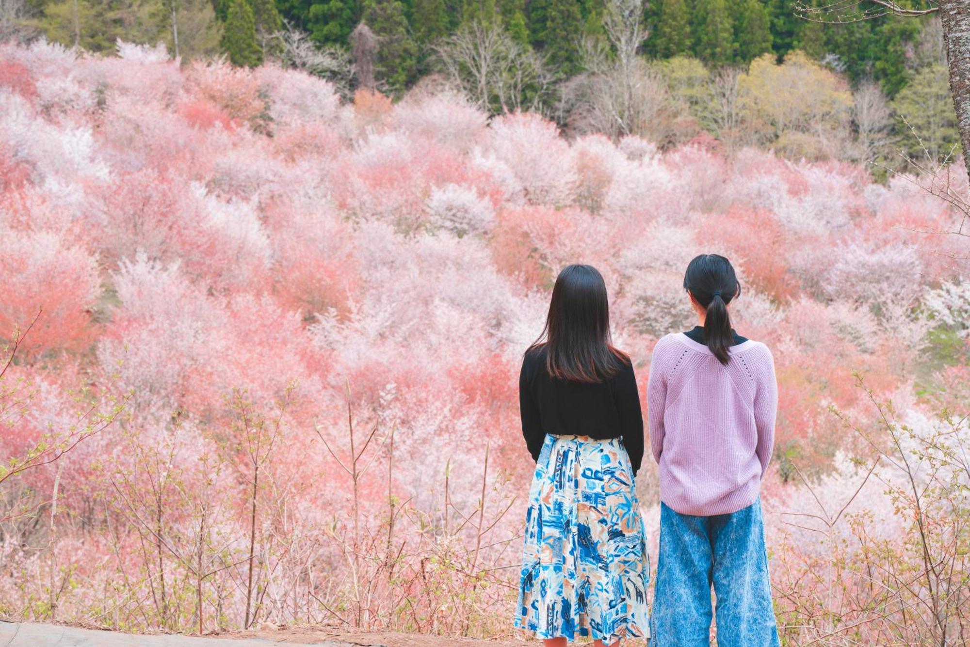 Urabandai Lake Resort Geihinkan Nekoma Rikyu Kitashiobara Esterno foto