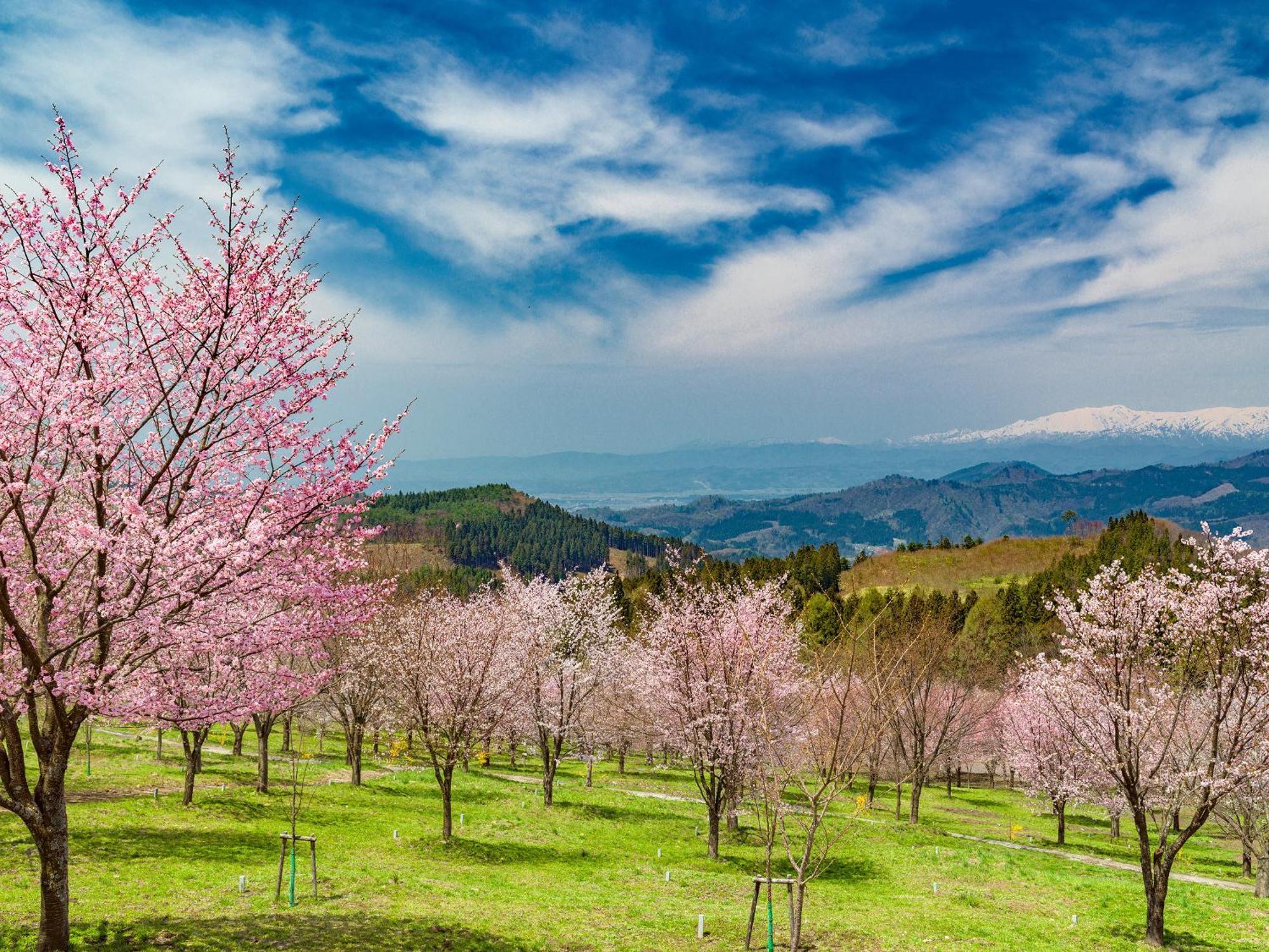 Urabandai Lake Resort Geihinkan Nekoma Rikyu Kitashiobara Esterno foto