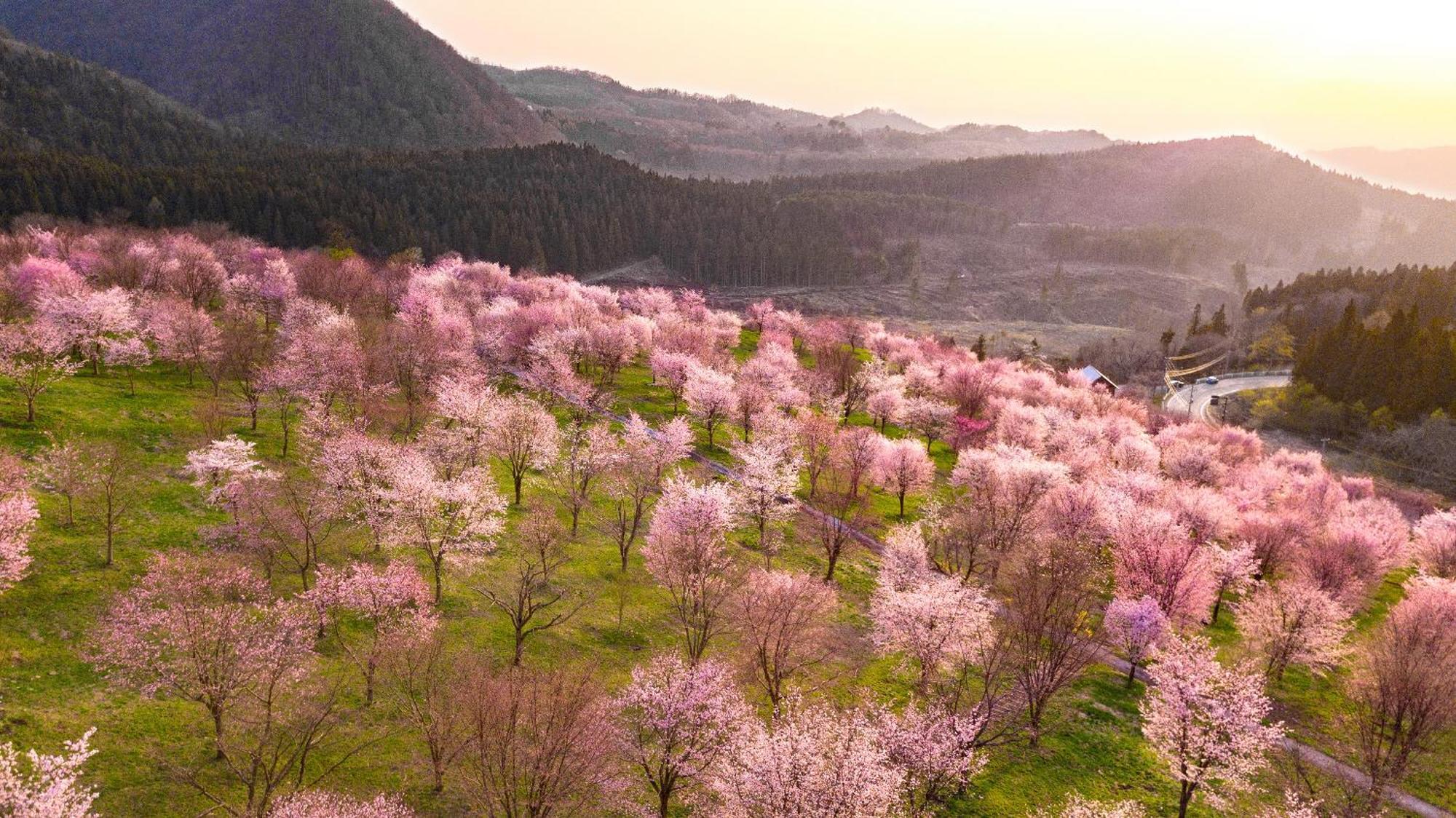 Urabandai Lake Resort Geihinkan Nekoma Rikyu Kitashiobara Esterno foto